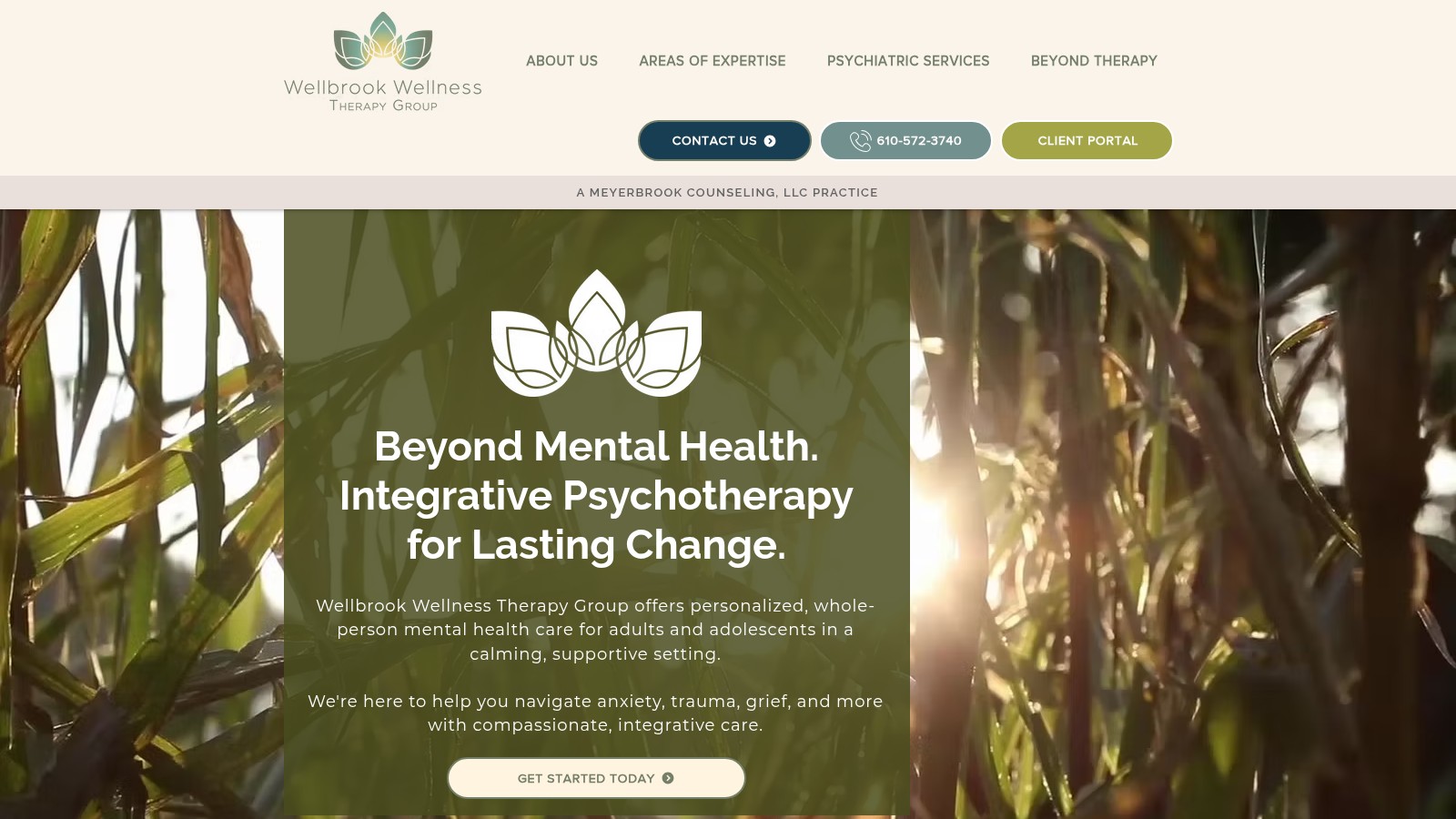 Wellbrook Wellness Therapy Group homepage designed by Launch Point Labs